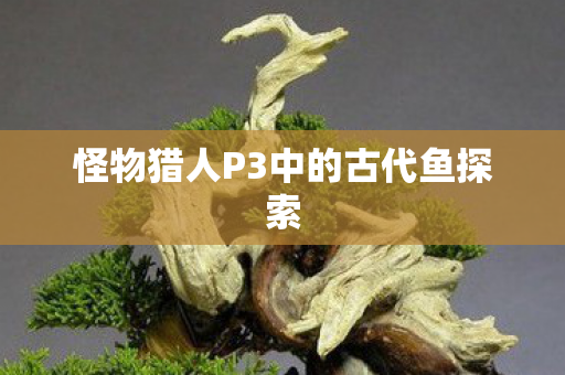 怪物猎人P3中的古代鱼探索 怪物猎人P3中的古代鱼探索