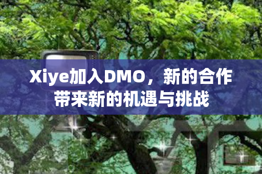 Xiye加入DMO，新的合作带来新的机遇与挑战