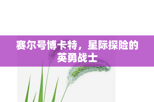 赛尔号博卡特,星际探险的英勇战士 赛尔号博卡特,星际探险的英勇战士