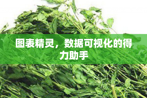 图表精灵,数据可视化的得力助手 图表精灵,数据可视化的得力助手