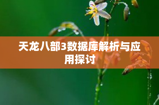 天龙八部3数据库解析与应用探讨 天龙八部3数据库解析与应用探讨
