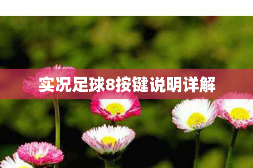 实况足球8按键说明详解 实况足球8按键说明详解
