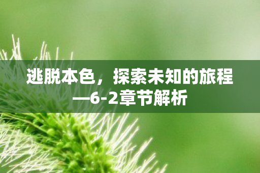 逃脱本色,探索未知的旅程—6-2章节解析 逃脱本色,探索未知的旅程—6-2章节解析