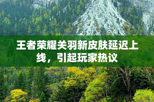 王者荣耀关羽新皮肤延迟上线，引起玩家热议