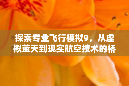 探索专业飞行模拟9，从虚拟蓝天到现实航空技术的桥梁