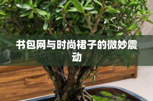 书包网与时尚裙子的微妙震动