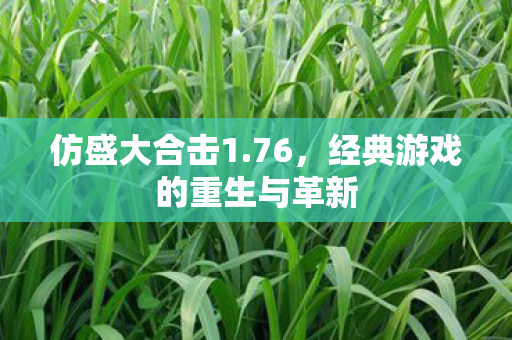 仿盛大合击1.76,经典游戏的重生与革新 仿盛大合击1.76,经典游戏的重生与革新