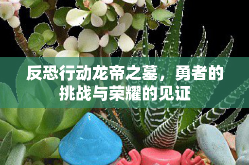 反恐行动龙帝之墓，勇者的挑战与荣耀的见证
