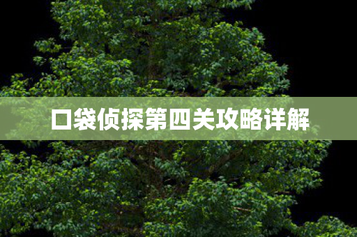 口袋侦探第四关攻略详解