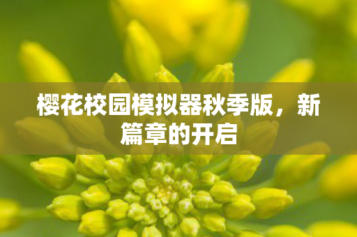 樱花校园模拟器秋季版,新篇章的开启 樱花校园模拟器秋季版,新篇章的开启
