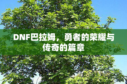 DNF巴拉姆,勇者的荣耀与传奇的篇章 DNF巴拉姆,勇者的荣耀与传奇的篇章