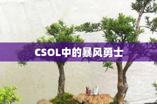 CSOL中的暴风勇士 CSOL中的暴风勇士