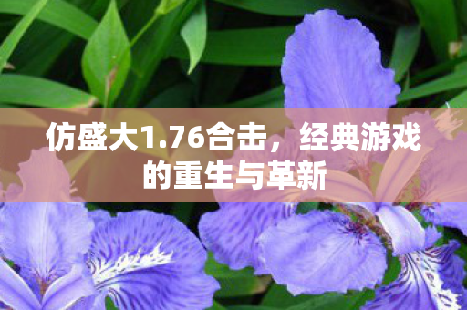 仿盛大1.76合击,经典游戏的重生与革新 仿盛大1.76合击,经典游戏的重生与革新