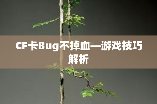CF卡Bug不掉血—游戏技巧解析