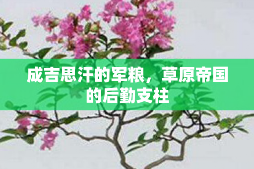 成吉思汗的军粮,草原帝国的后勤支柱 成吉思汗的军粮,草原帝国的后勤支柱