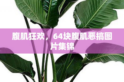 腹肌狂欢,64块腹肌恶搞图片集锦 腹肌狂欢,64块腹肌恶搞图片集锦