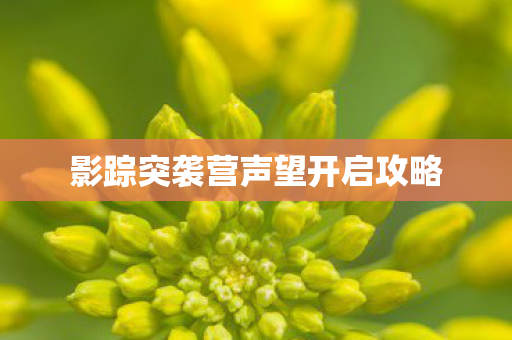影踪突袭营声望开启攻略 影踪突袭营声望开启攻略