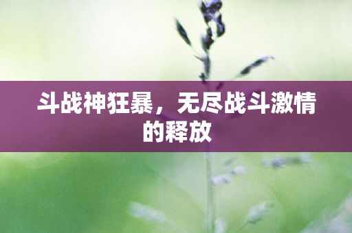 斗战神狂暴,无尽战斗激情的释放 斗战神狂暴,无尽战斗激情的释放