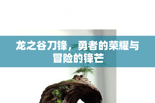 龙之谷刀锋,勇者的荣耀与冒险的锋芒 龙之谷刀锋,勇者的荣耀与冒险的锋芒