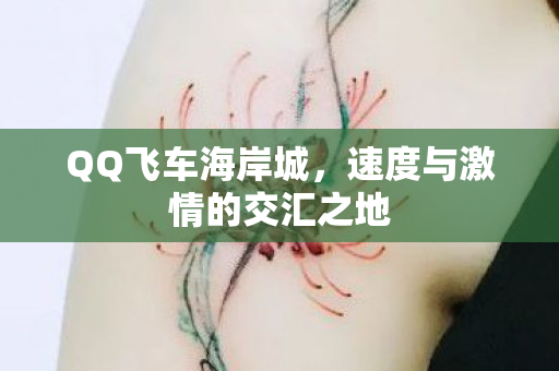 QQ飞车海岸城,速度与激情的交汇之地 QQ飞车海岸城,速度与激情的交汇之地