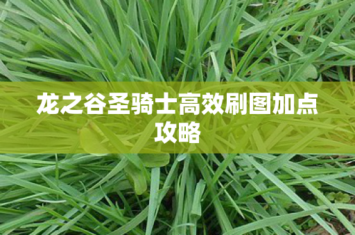 龙之谷圣骑士高效刷图加点攻略