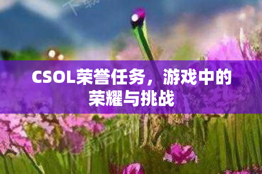 CSOL荣誉任务,游戏中的荣耀与挑战 CSOL荣誉任务,游戏中的荣耀与挑战