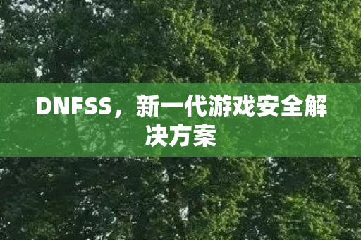 DNFSS，新一代游戏安全解决方案