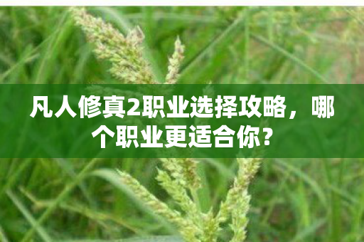 凡人修真2职业选择攻略,哪个职业更适合你? 凡人修真2职业选择攻略,哪个职业更适合你?
