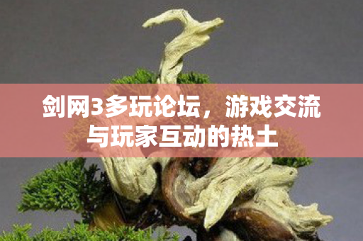 剑网3多玩论坛，游戏交流与玩家互动的热土