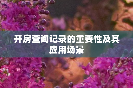 开房查询记录的重要性及其应用场景 开房查询记录的重要性及其应用场景