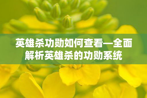 英雄杀功勋如何查看—全面解析英雄杀的功勋系统