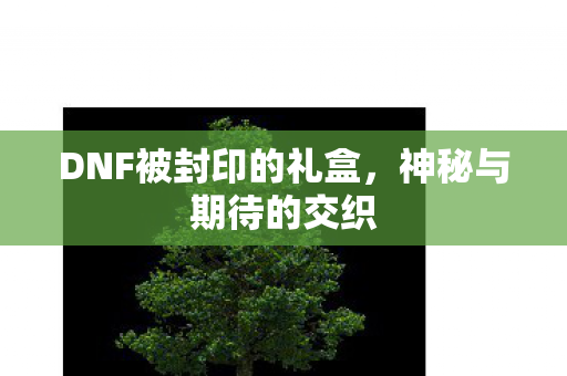 DNF被封印的礼盒,神秘与期待的交织 DNF被封印的礼盒,神秘与期待的交织