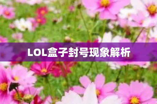 LOL盒子封号现象解析