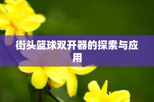 街头篮球双开器的探索与应用 街头篮球双开器的探索与应用