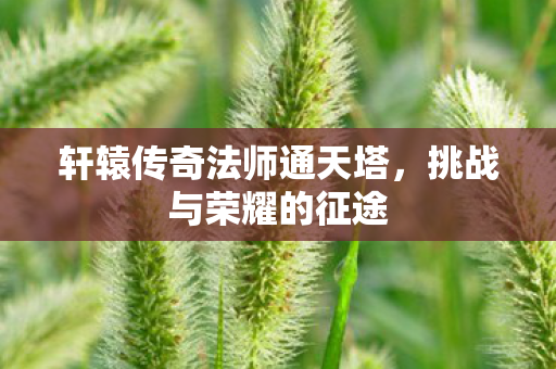 轩辕传奇法师通天塔,挑战与荣耀的征途 轩辕传奇法师通天塔,挑战与荣耀的征途