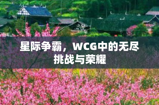 星际争霸,WCG中的无尽挑战与荣耀 星际争霸,WCG中的无尽挑战与荣耀