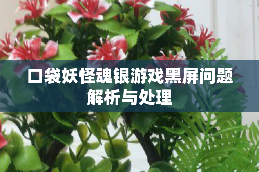口袋妖怪魂银游戏黑屏问题解析与处理 口袋妖怪魂银游戏黑屏问题解析与处理