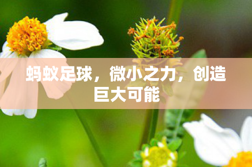 蚂蚁足球，微小之力，创造巨大可能