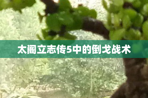 太阁立志传5中的倒戈战术