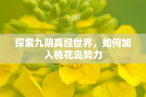 探索九阴真经世界,如何加入桃花岛势力 探索九阴真经世界,如何加入桃花岛势力