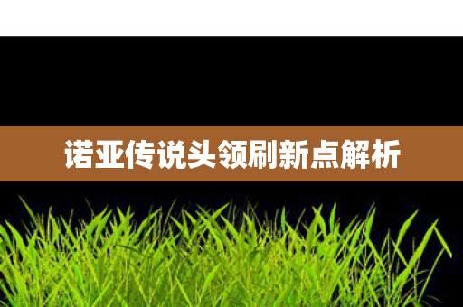 诺亚传说头领刷新点解析