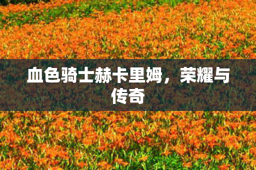 血色骑士赫卡里姆,荣耀与传奇 血色骑士赫卡里姆,荣耀与传奇