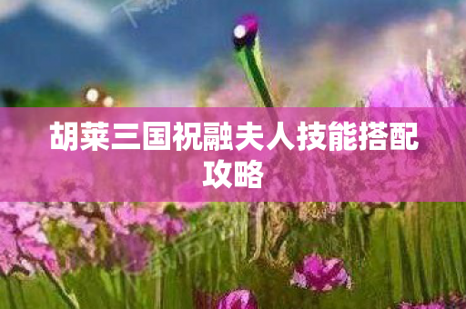 胡莱三国祝融夫人技能搭配攻略 胡莱三国祝融夫人技能搭配攻略