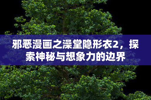邪恶漫画之澡堂隐形衣2,探索神秘与想象力的边界 邪恶漫画之澡堂隐形衣2,探索神秘与想象力的边界