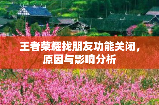 王者荣耀找朋友功能关闭,原因与影响分析 王者荣耀找朋友功能关闭,原因与影响分析