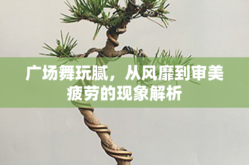 广场舞玩腻,从风靡到审美疲劳的现象解析 广场舞玩腻,从风靡到审美疲劳的现象解析