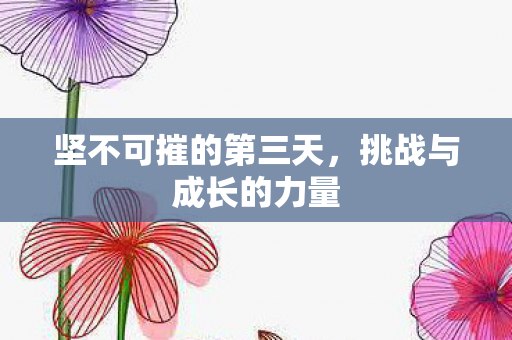 坚不可摧的第三天，挑战与成长的力量