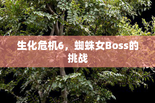 生化危机6，蜘蛛女Boss的挑战