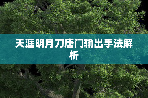 天涯明月刀唐门输出手法解析