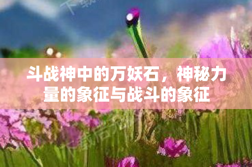 斗战神中的万妖石,神秘力量的象征与战斗的象征 斗战神中的万妖石,神秘力量的象征与战斗的象征